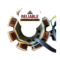 Stator Coil Plate Assembly for Bajaj Boxer BM 150